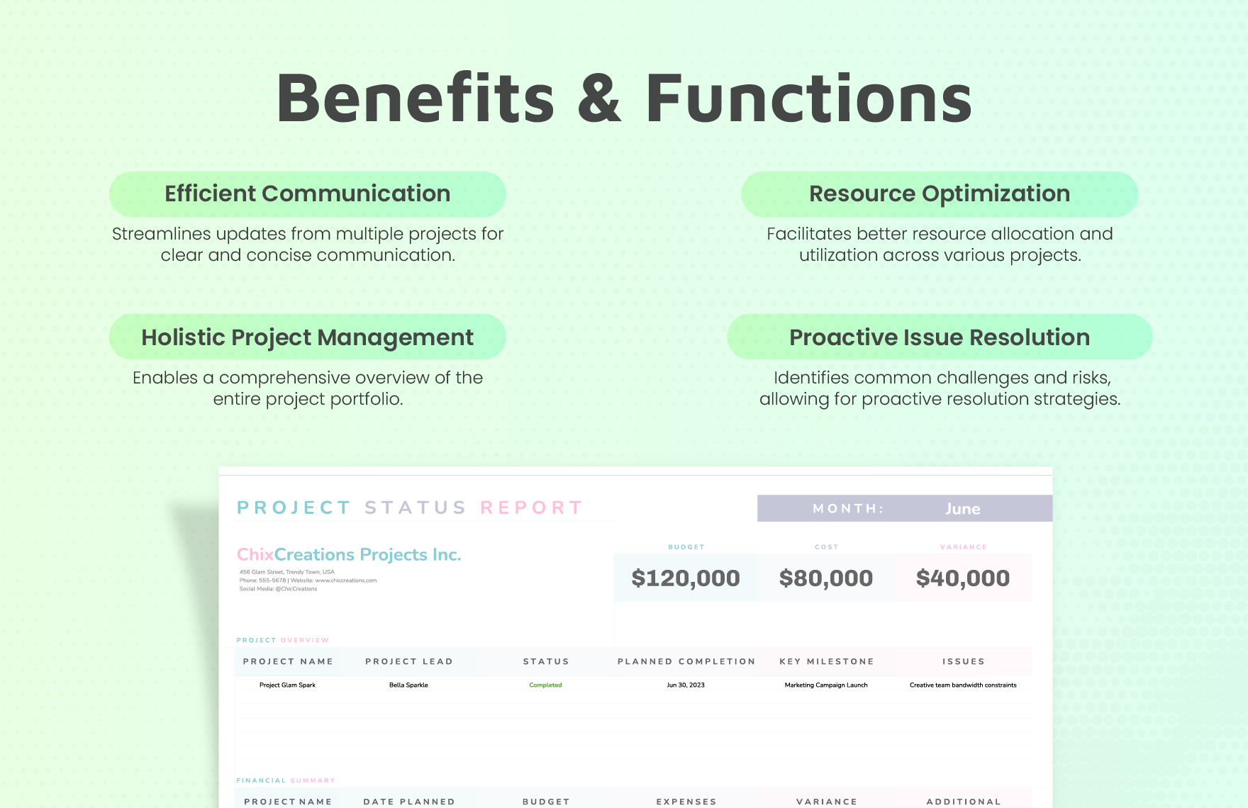 Multiple Project Status Report Template