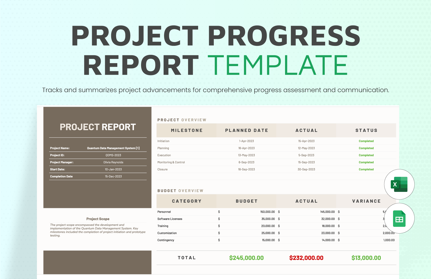 Project Progress Report Template