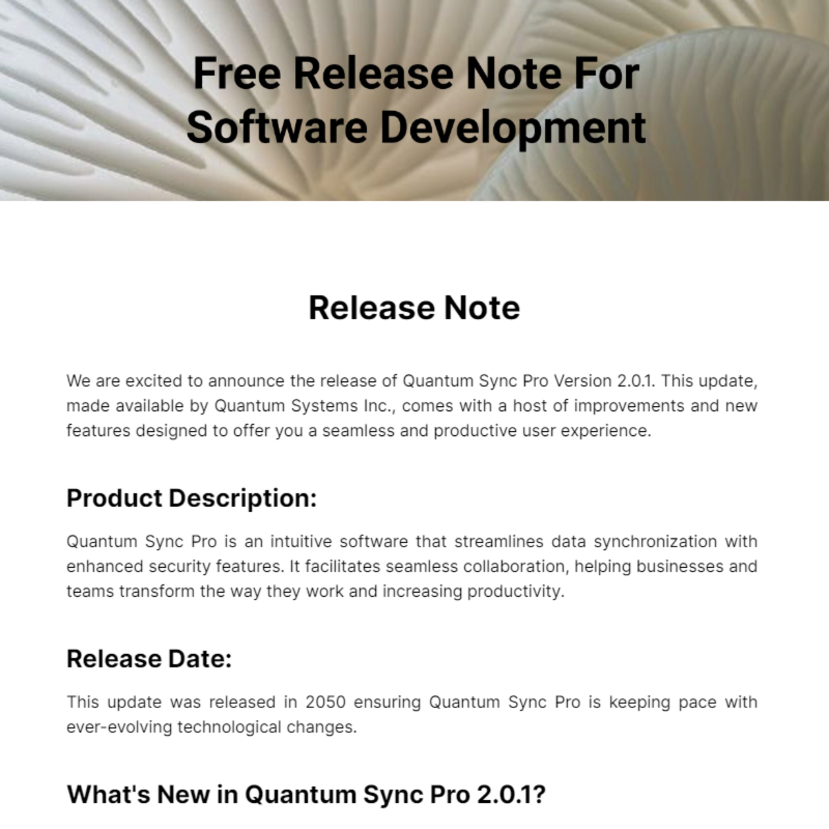 Release Note For Software Development Template