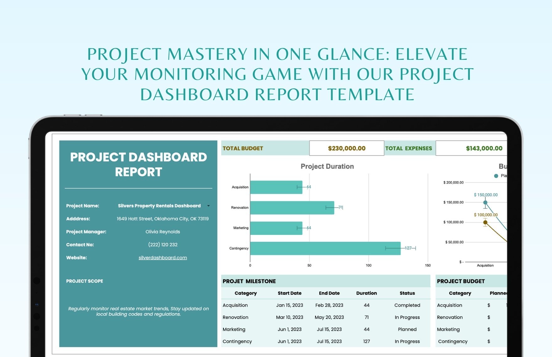 Project Dashboard Report Template
