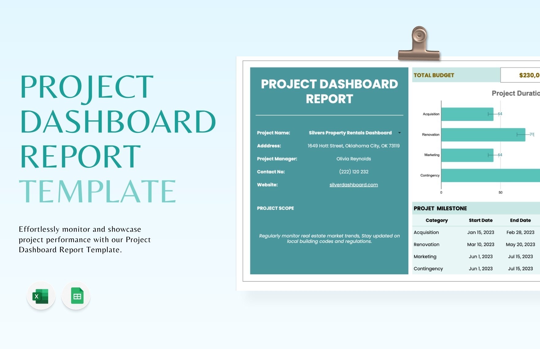 Project Dashboard Report Template