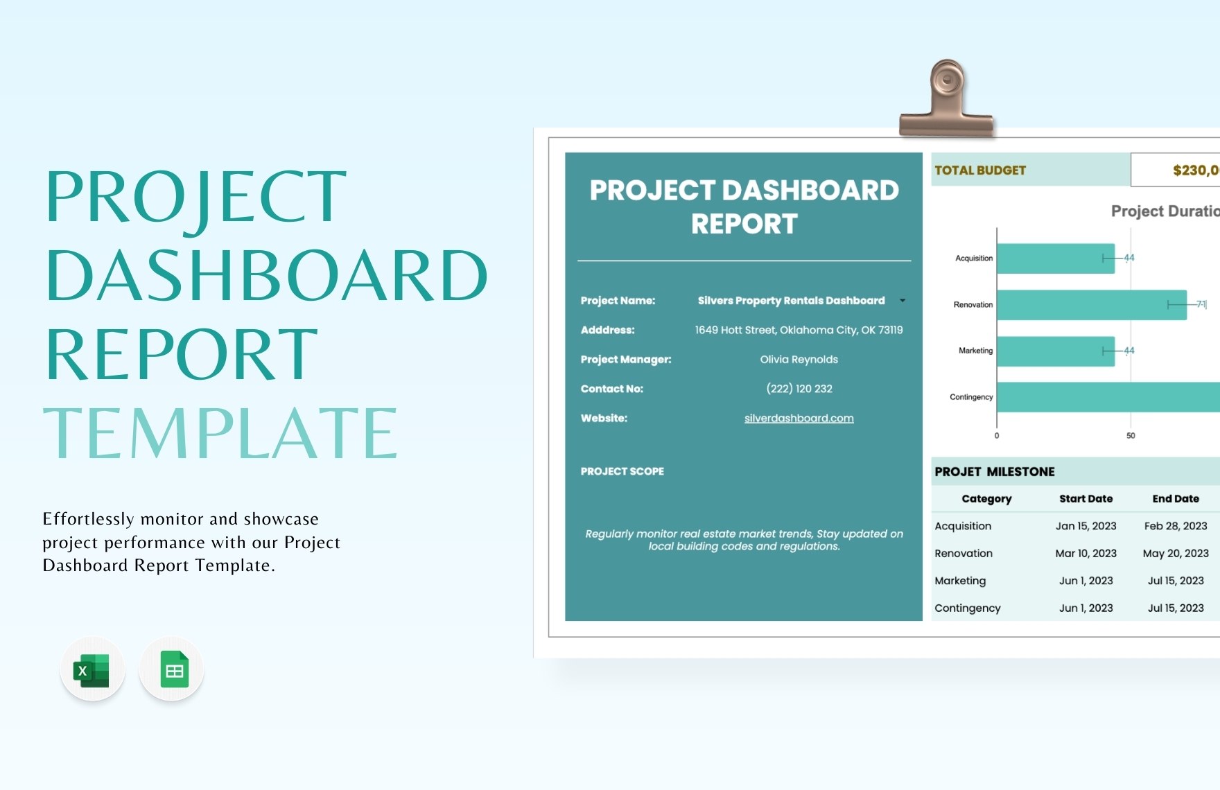 Project Dashboard Report Template in Excel, Google Sheets