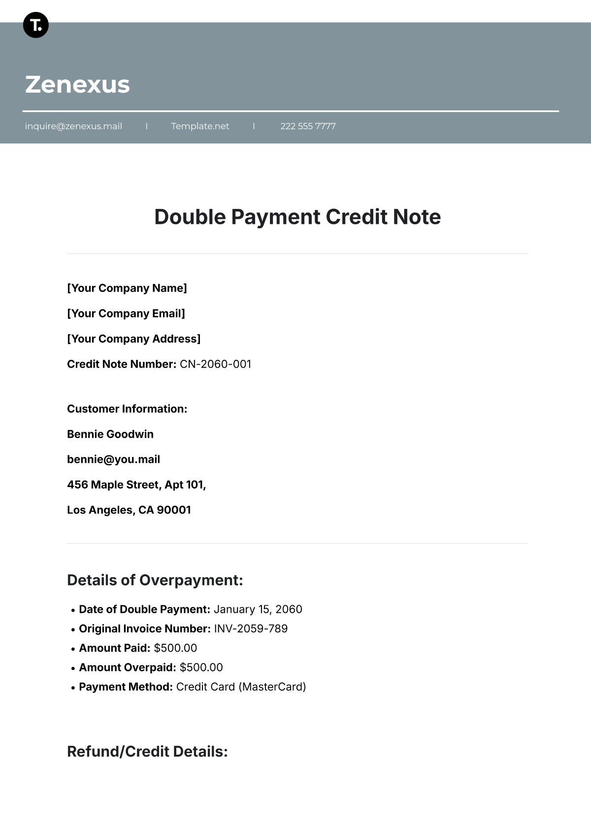 Double Payment Credit Note Template - Edit Online & Download