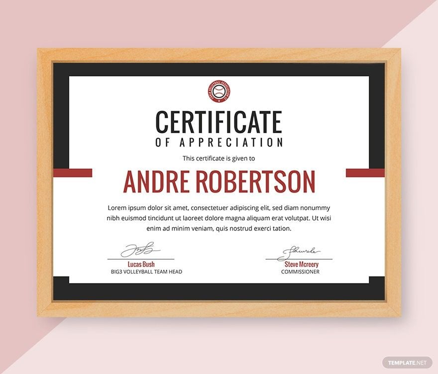 Volleyball Appreciation Certificate Template in Word, Google Docs, Apple Pages, Publisher