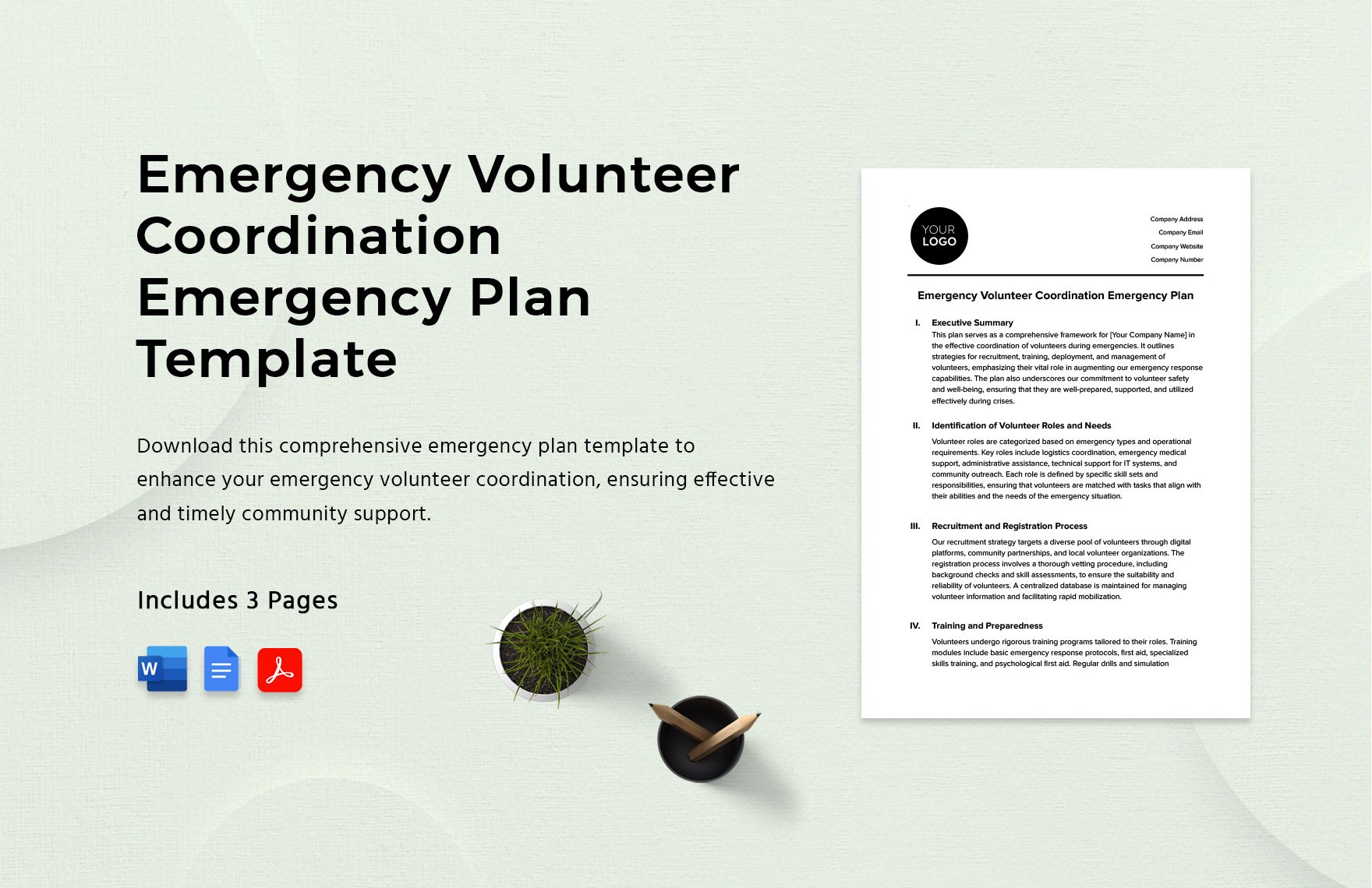 Emergency Volunteer Coordination Emergency Plan Template in Word, Google Docs, PDF