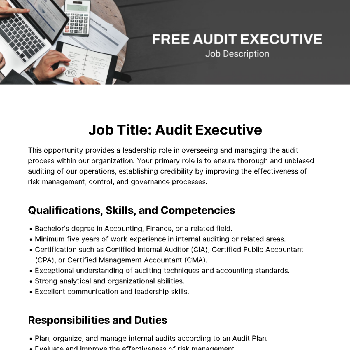 Free Audit Executive Job Description Template