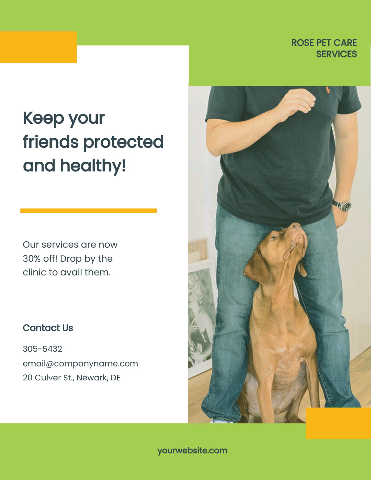 Double Sided Pet Care Flyer