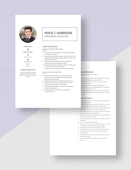 Employment Consultant Resume Download
