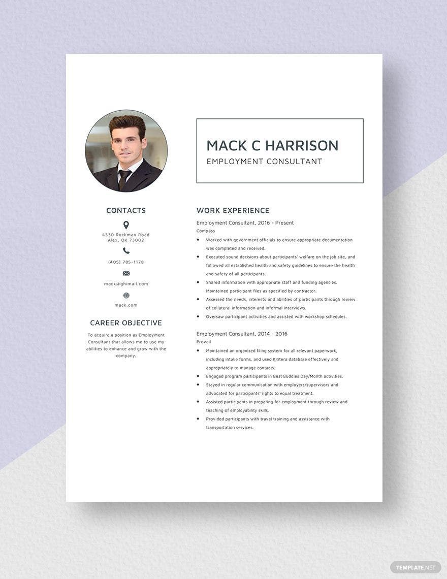 Employment Consultant Resume