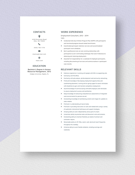 Employment Consultant Resume Template