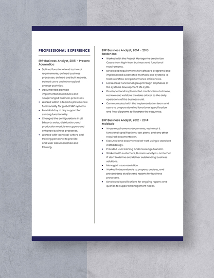 ERP Business Analyst Resume Template Word Apple Pages Template