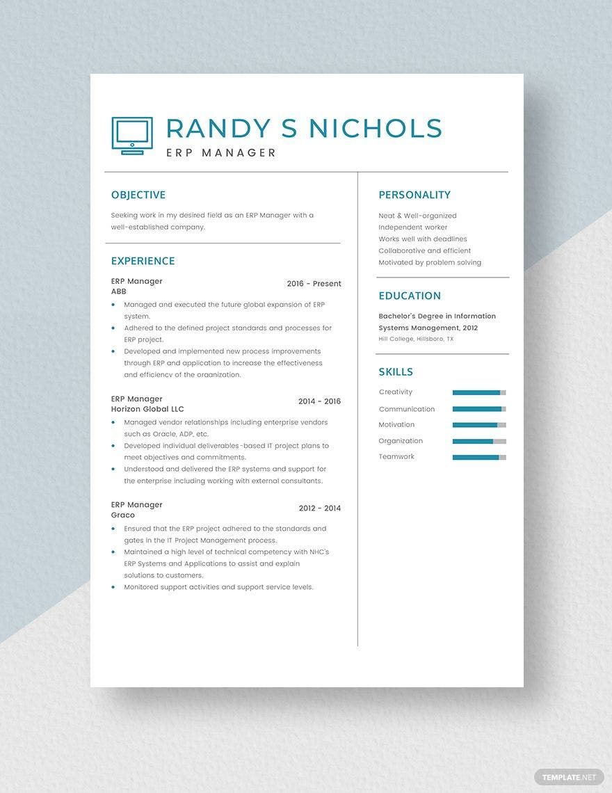 Free ERP Manager Resume in Word, Apple Pages