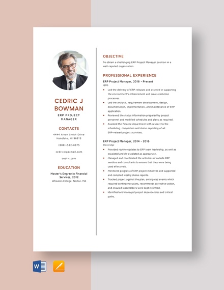 Free ERP Project Manager Resume Template - Word, Apple Pages