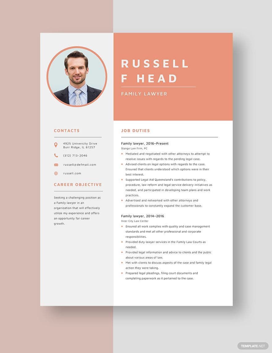 Family Lawyer Resume