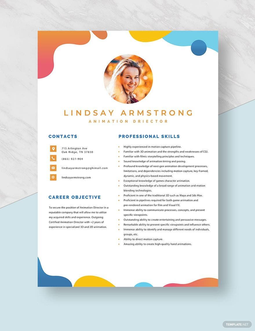 Animation Director Resume - Word, Apple Pages, PSD 
