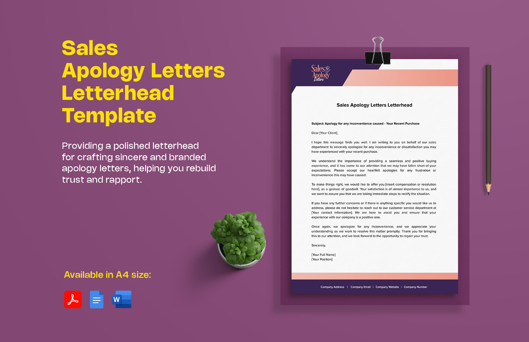Sales Apology Letters Letterhead Template