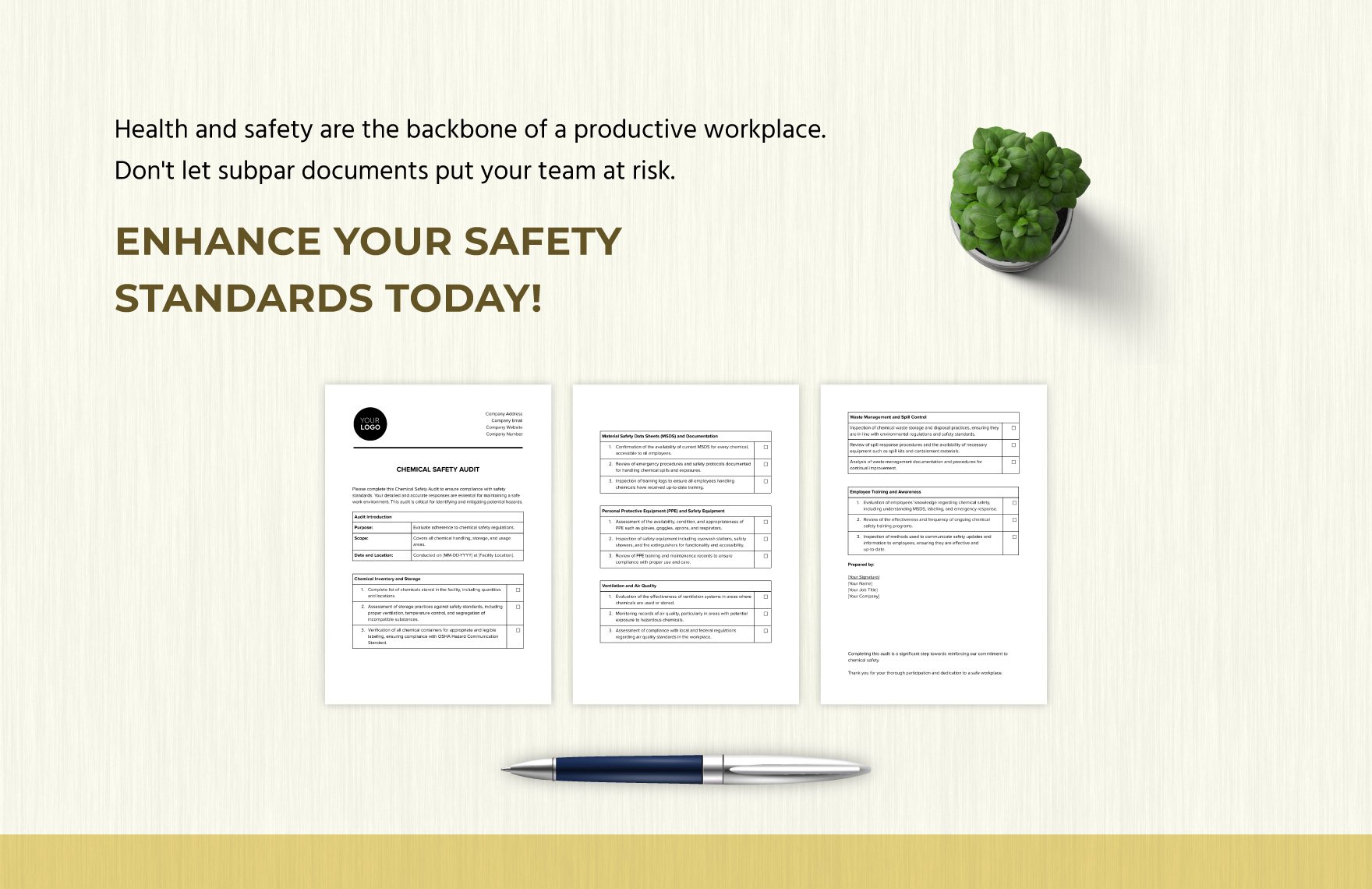 Chemical Safety Audit Template