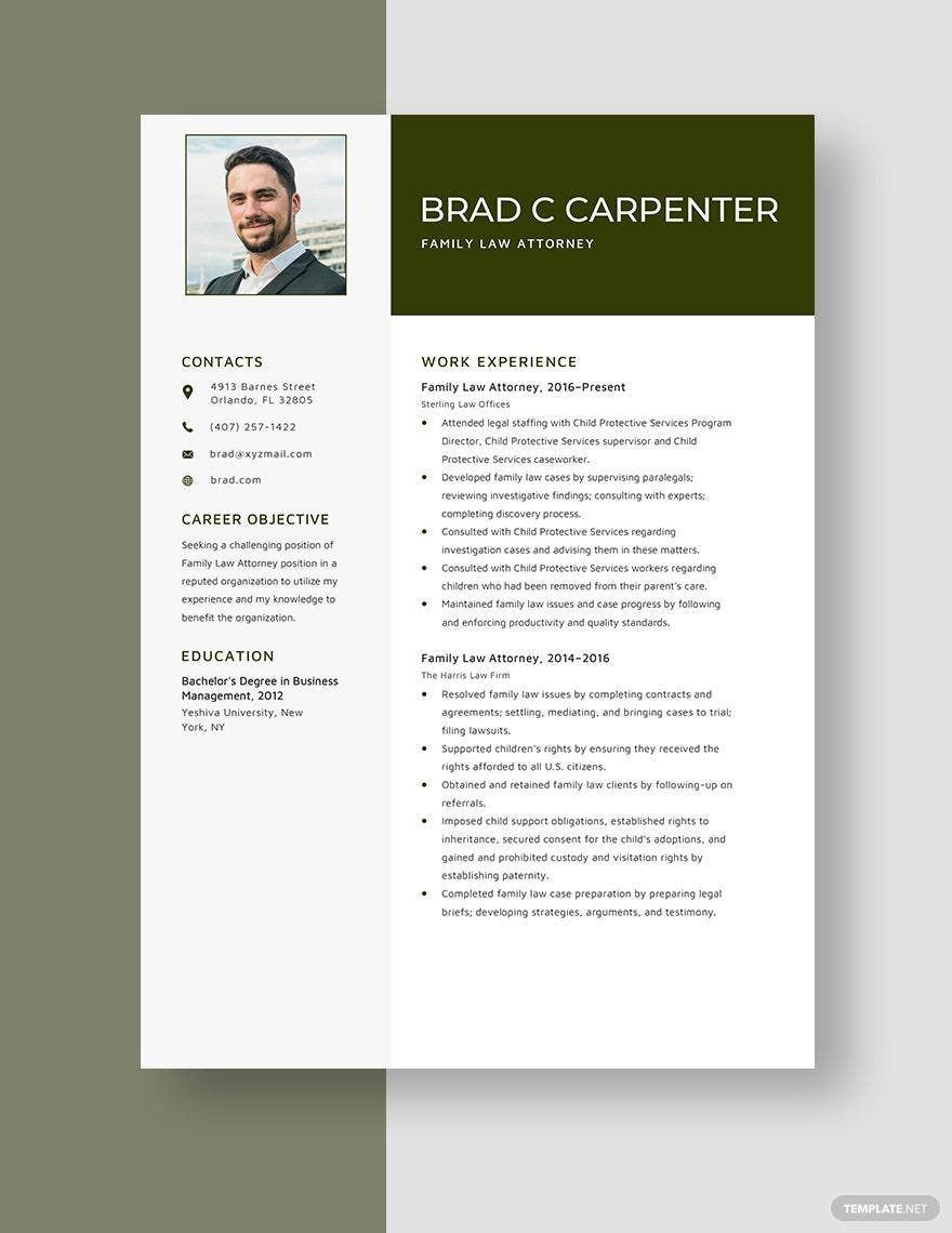 Family Law Attorney Resume