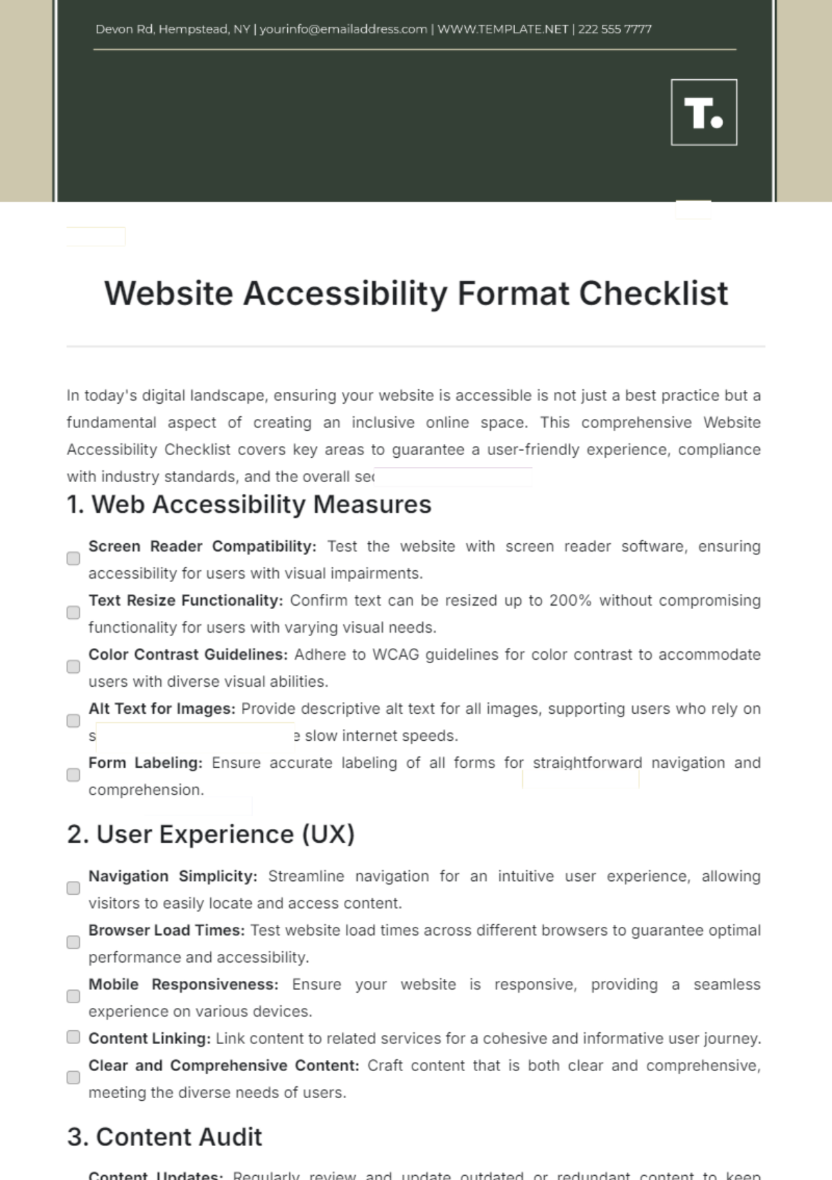 Website Accessibility Format Checklist Template