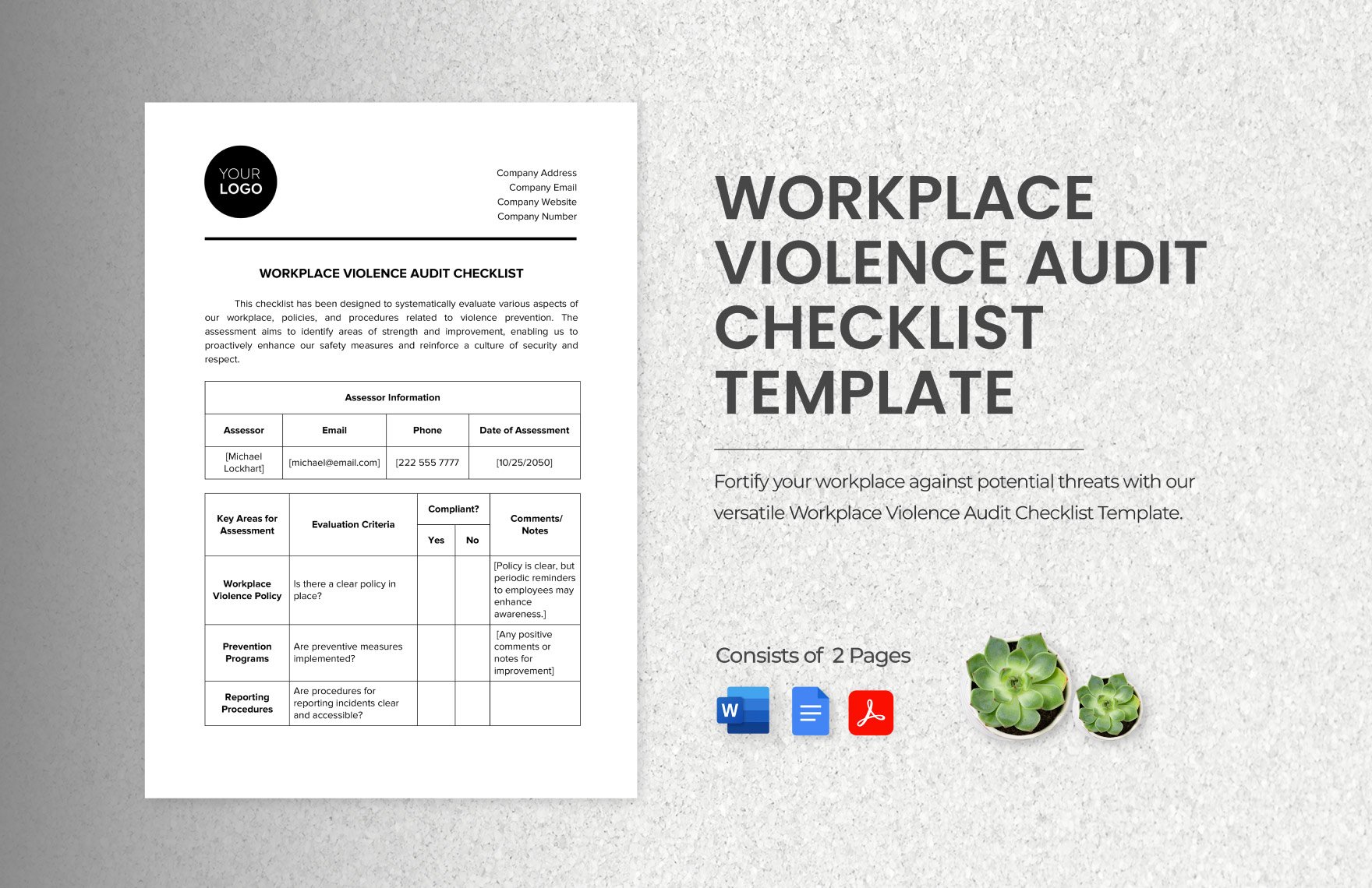 Workplace Violence Audit Checklist Template
