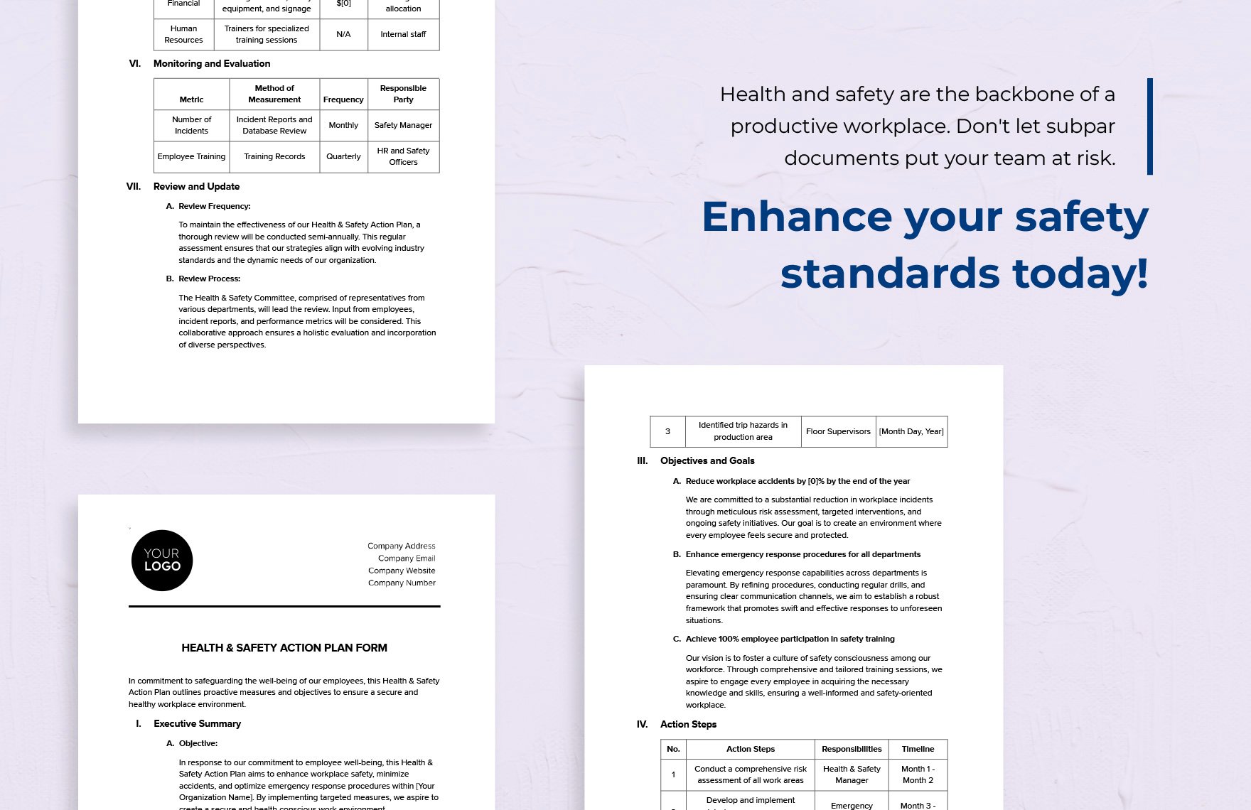 Health & Safety Action Plan Form Template