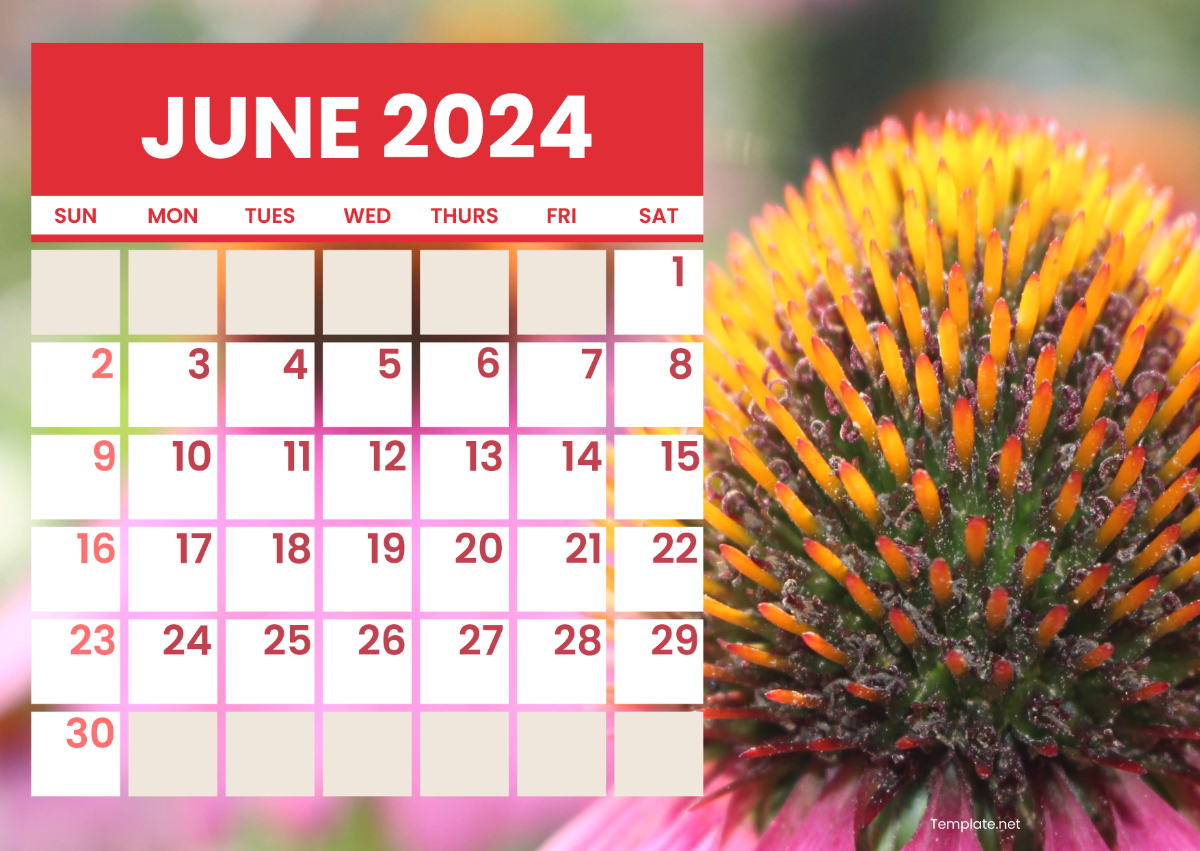 Generic June Calendar 2024