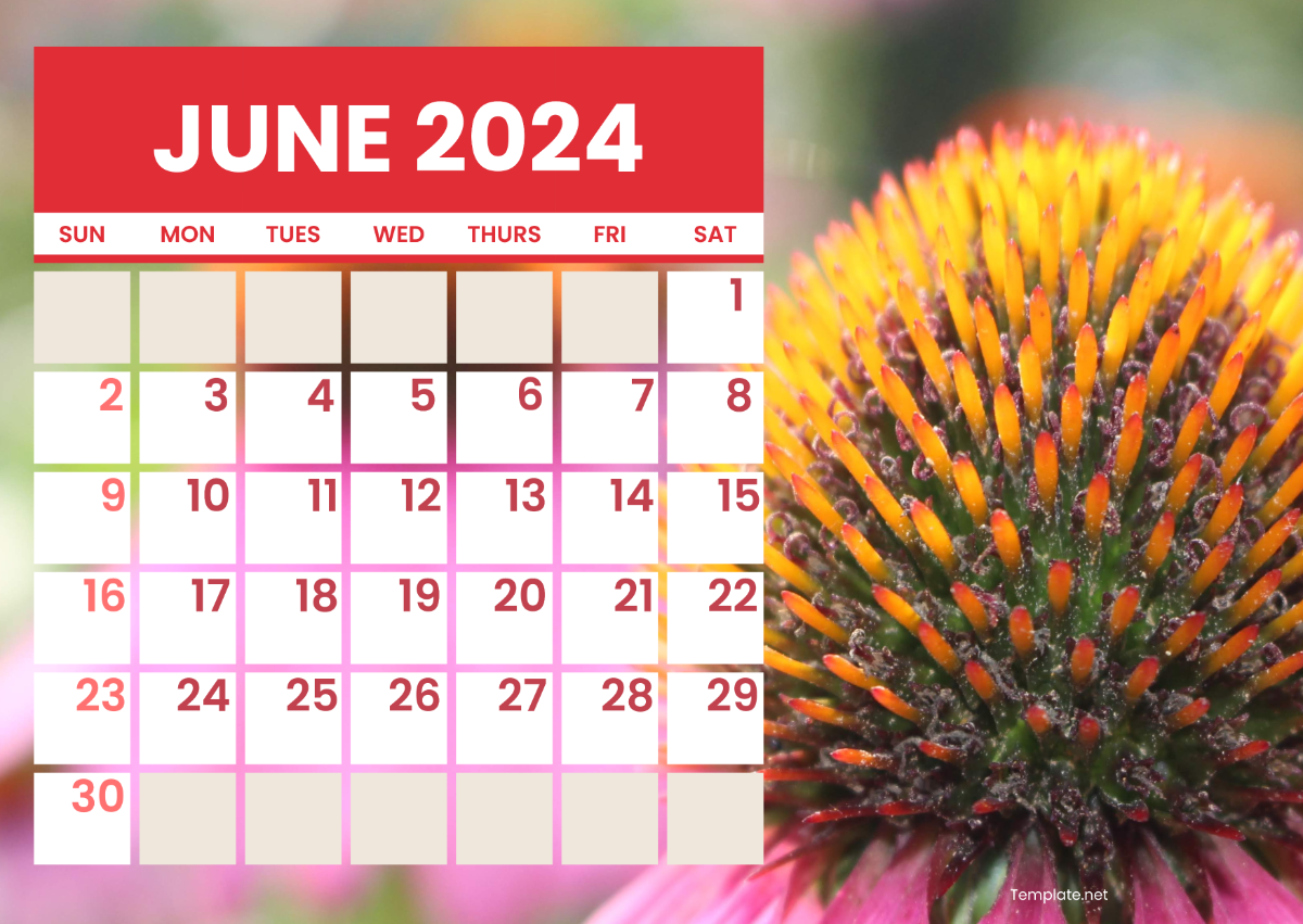 Generic June Calendar 2024 Template Edit Online Download Example 