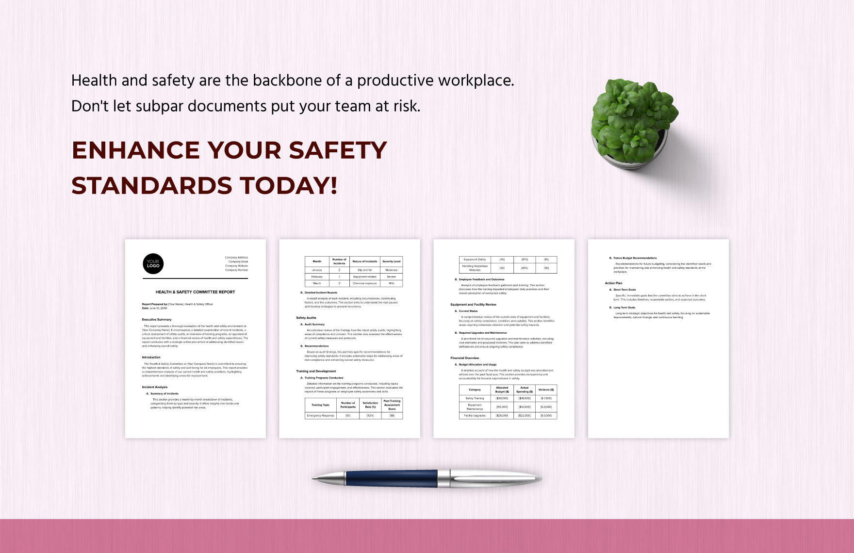 Health & Safety Committee Report Template