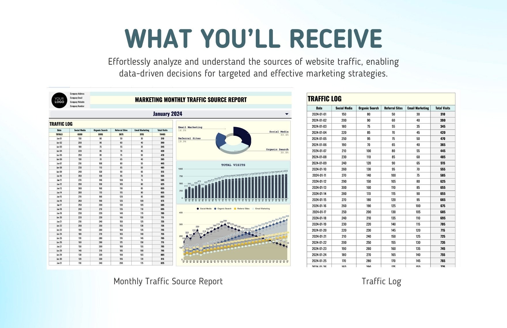 Marketing Monthly Traffic Source Report Template