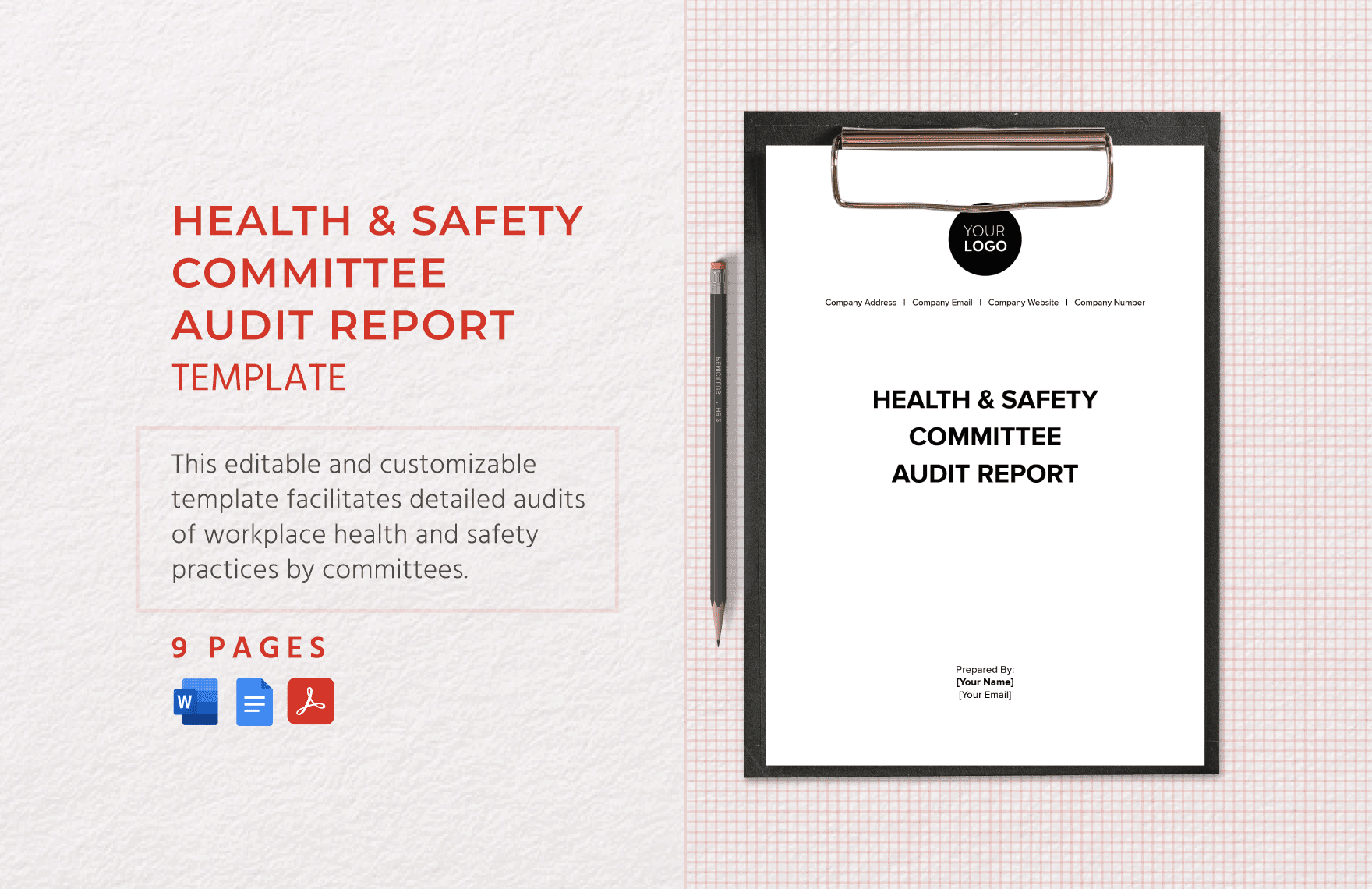 Health & Safety Committee Audit Report Template
