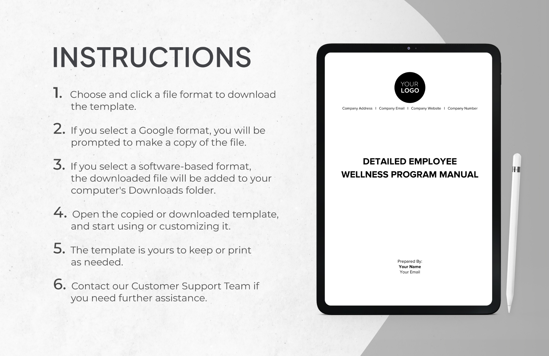 Detailed Employee Wellness Program Manual Template