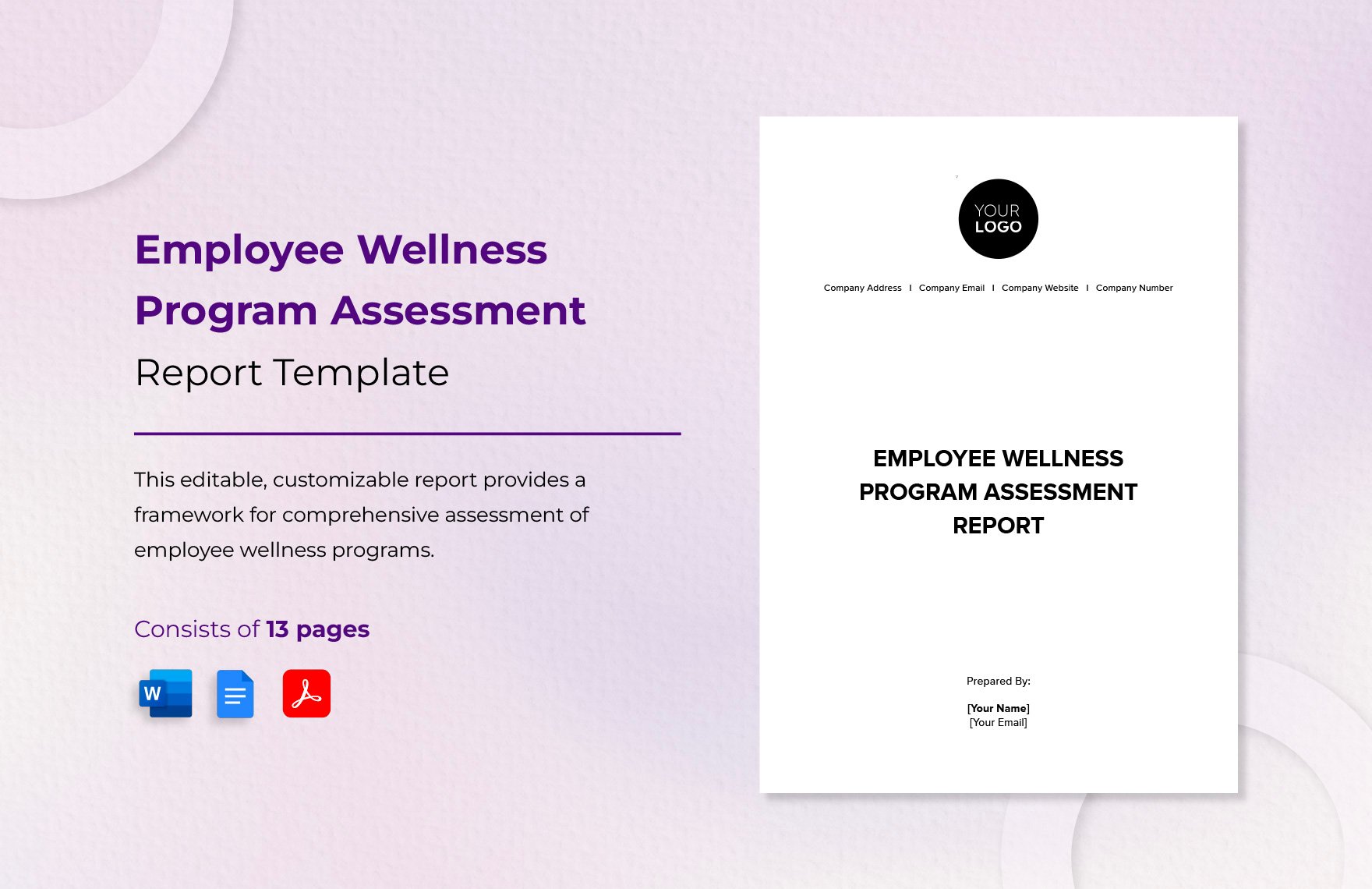 Employee Wellness Program Assessment Report Template