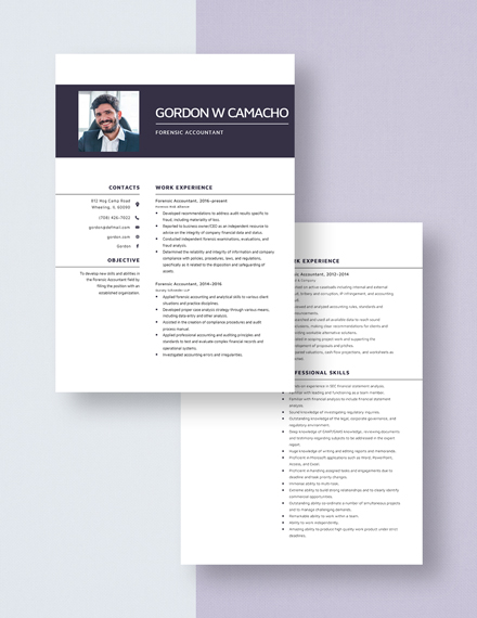 Forensic Accountant Resume Download