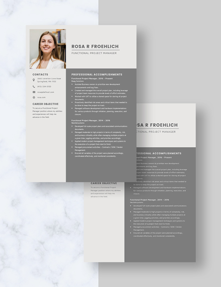 Functional Project Manager Resume Download