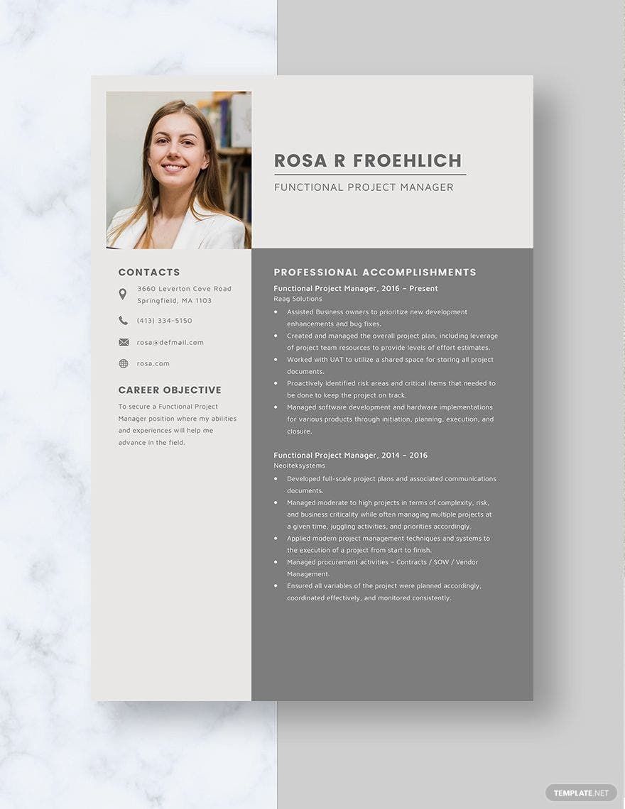 Functional Project Manager Resume Template