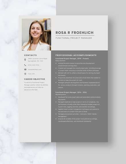 Functional Project Manager Resume Template