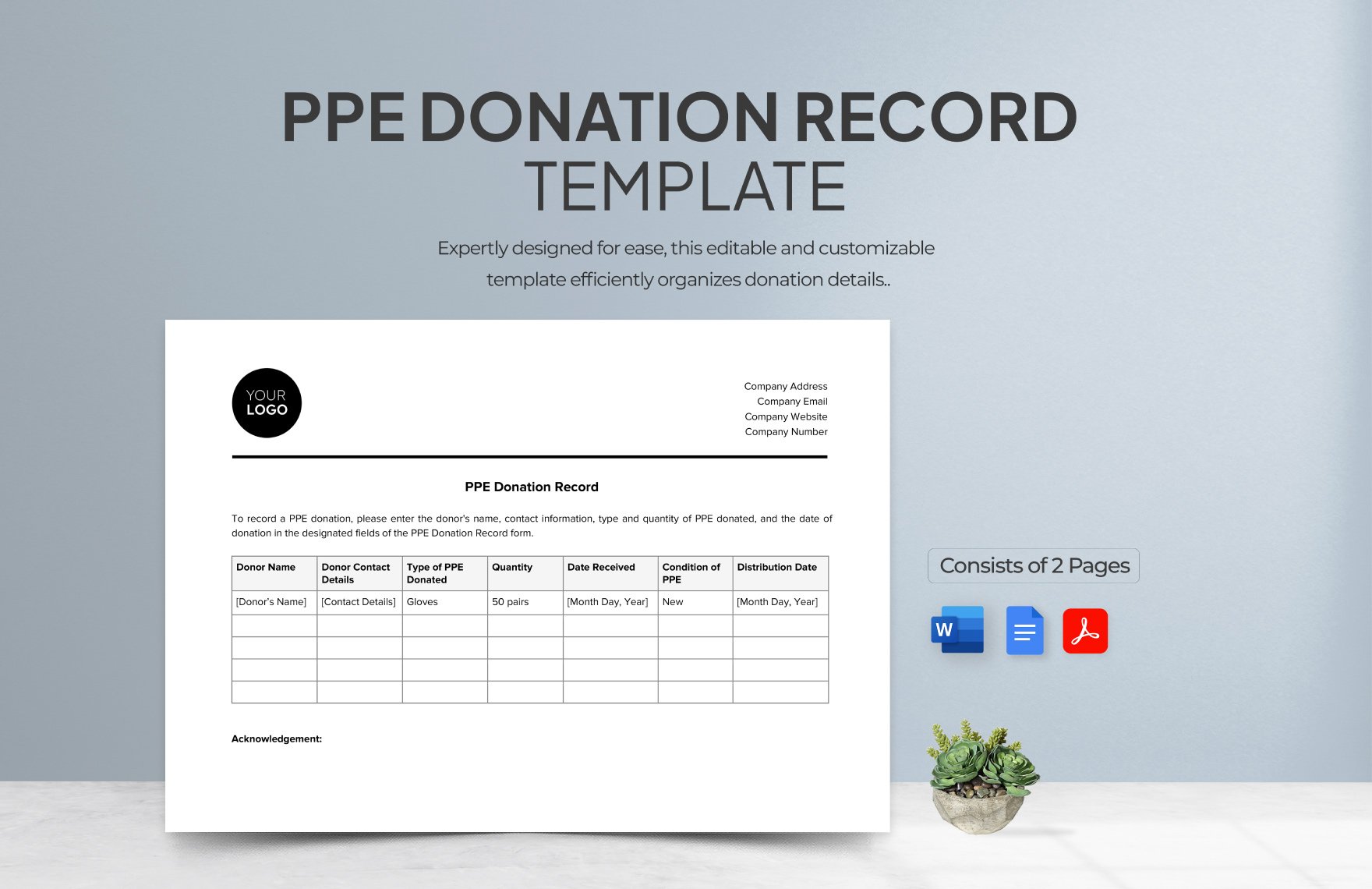 PPE Donation Record Template