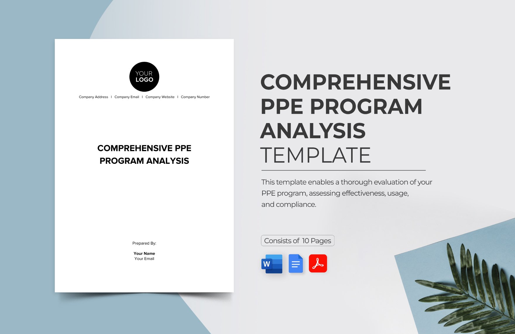 Comprehensive PPE Program Analysis Template