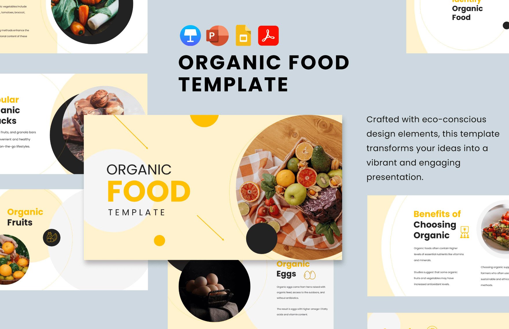 Organic Food Template in PDF, PowerPoint, Google Slides, Apple Keynote
