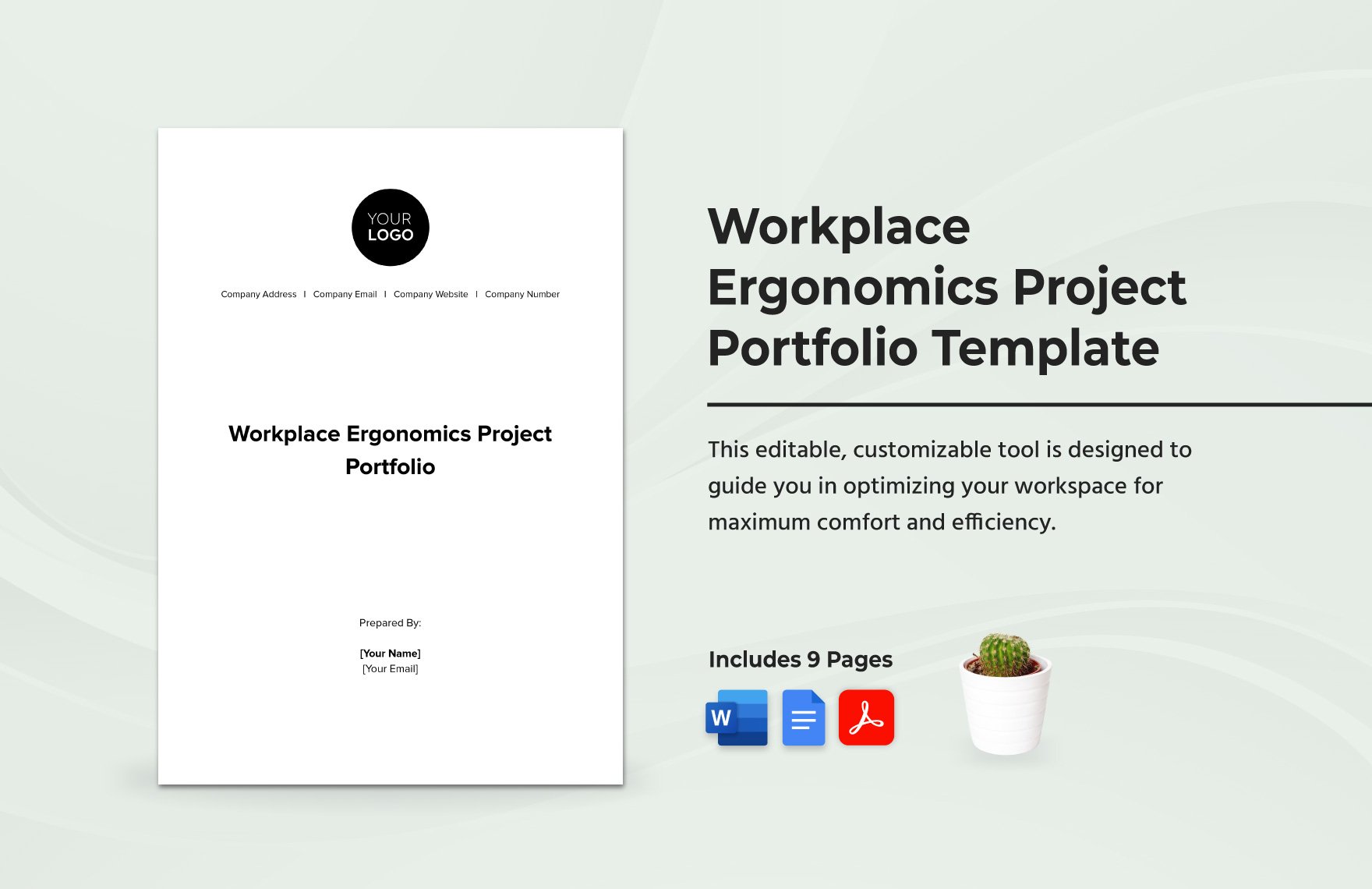 Workplace Ergonomics Project Portfolio Template