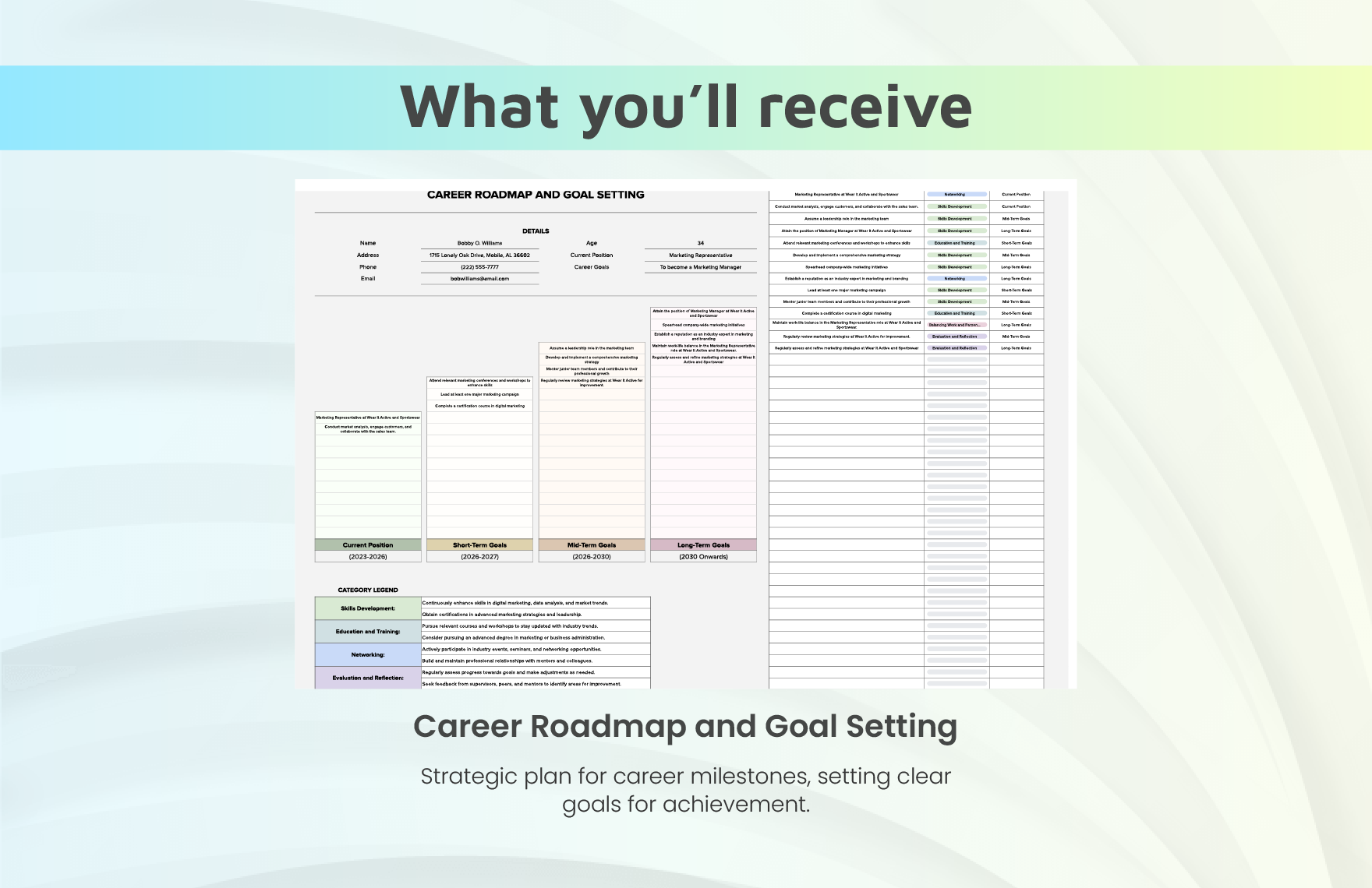 Career Roadmap and Goal Setting Template