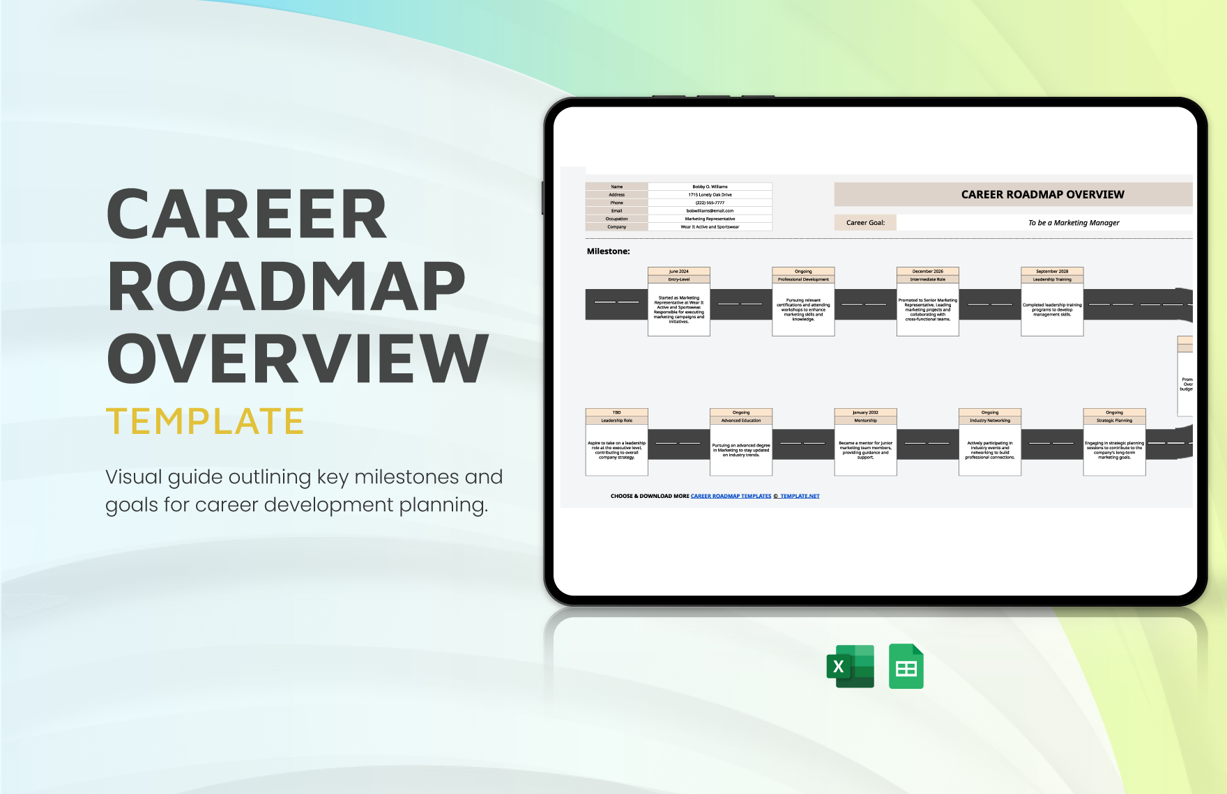 Free Career Roadmap Overview Template in Excel, Google Sheets
