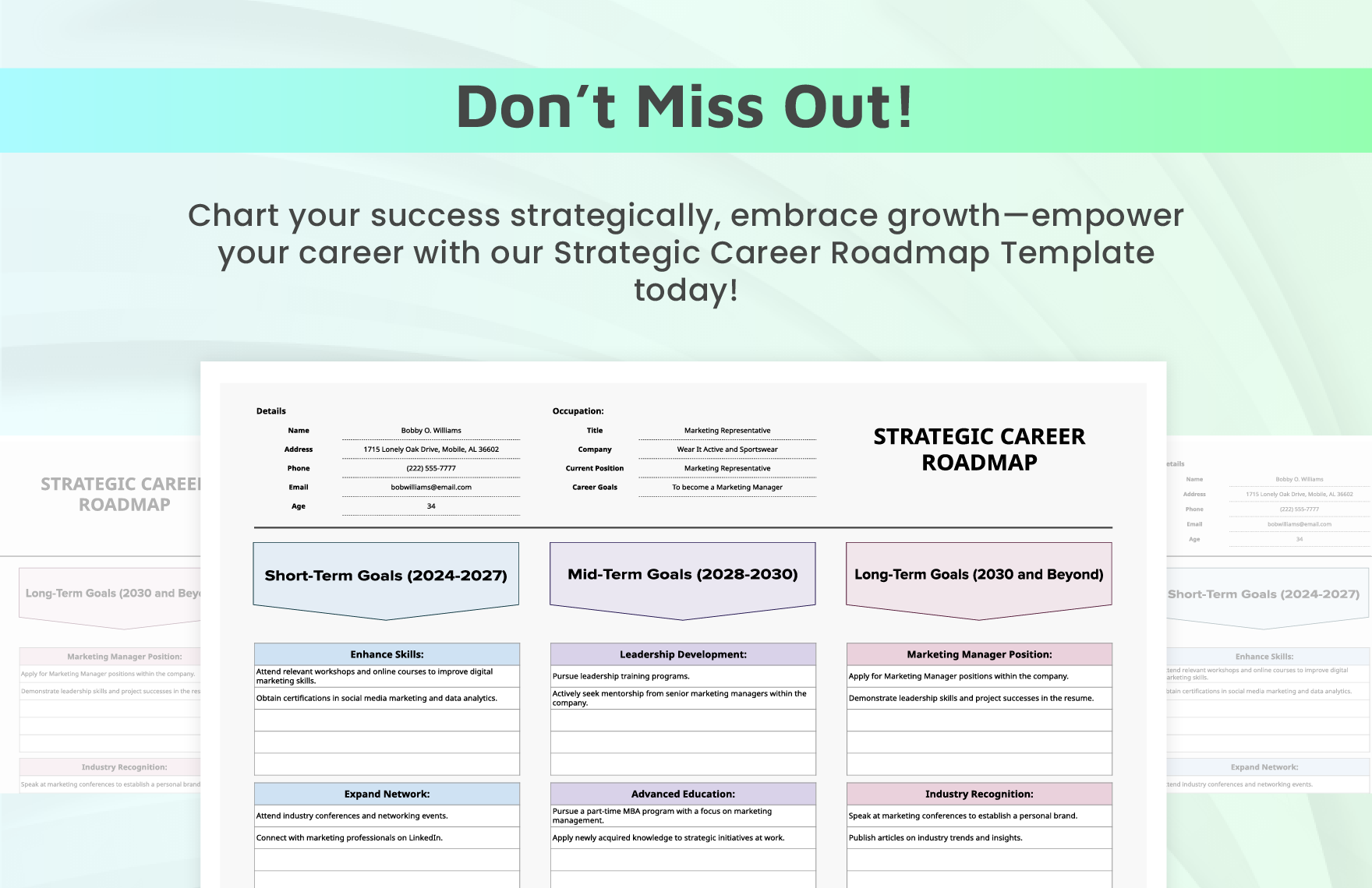 Strategic Career Roadmap Template