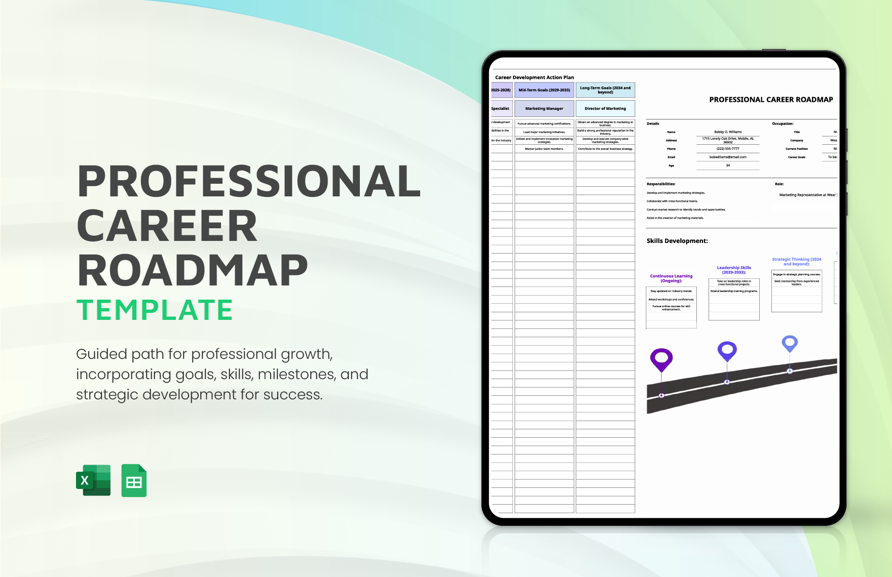 Professional Career Roadmap Template in Excel, Google Sheets