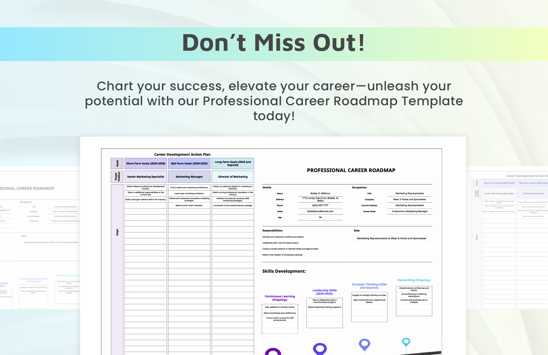 Professional Career Roadmap Template