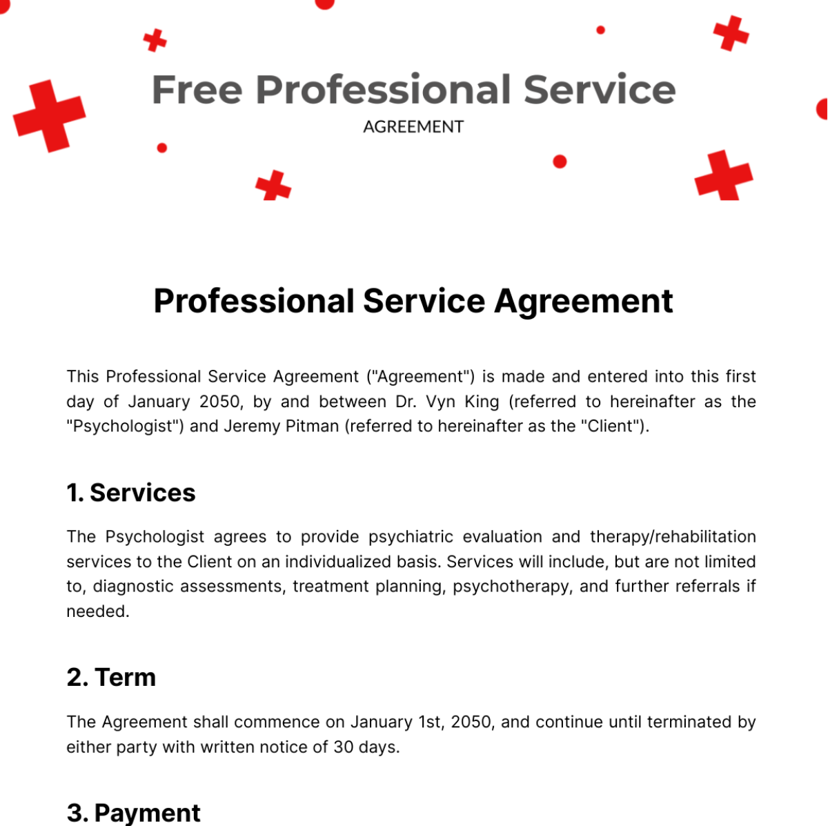 Professional Service Agreement  Template