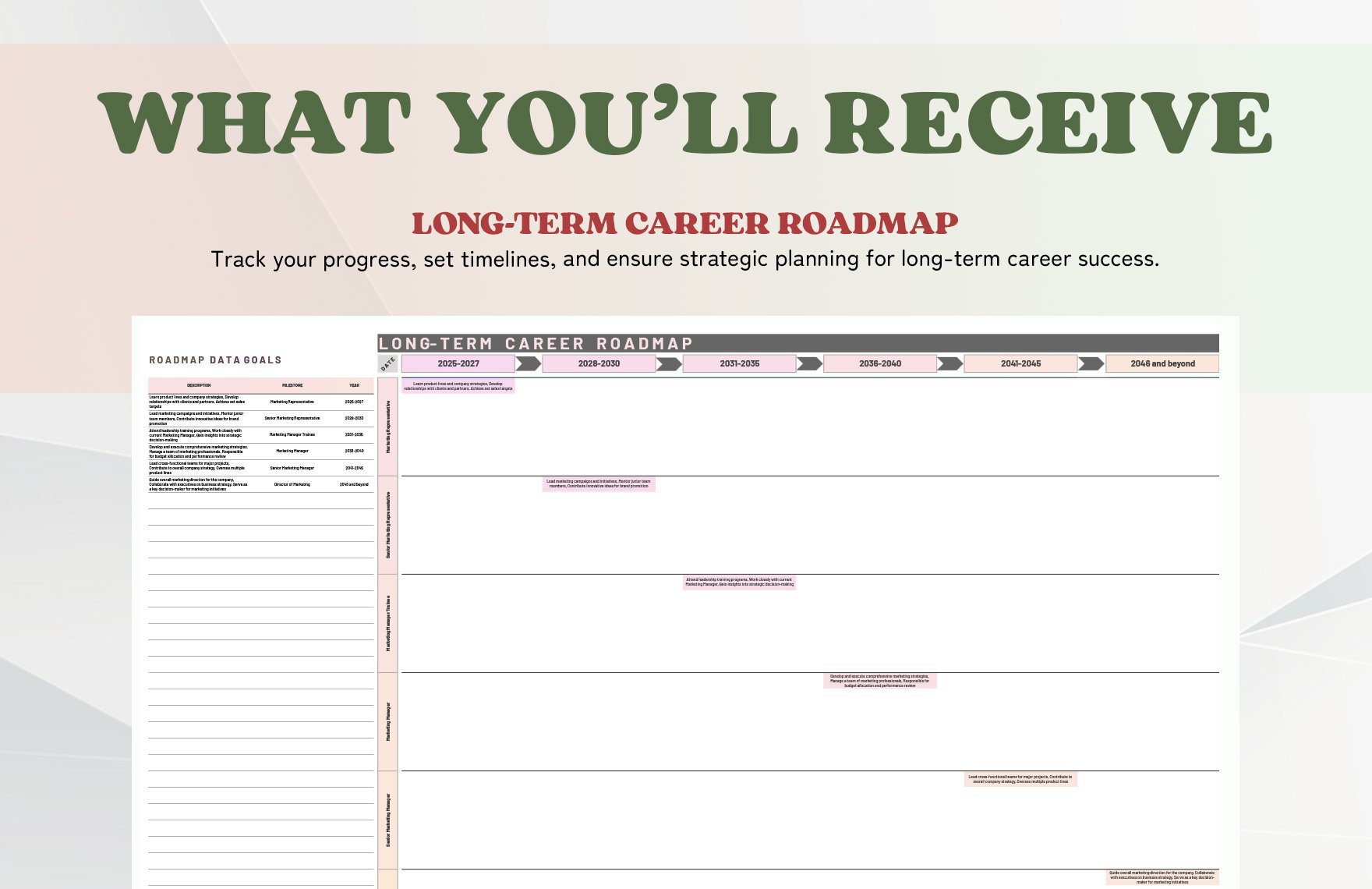 LongTerm Career Roadmap Template