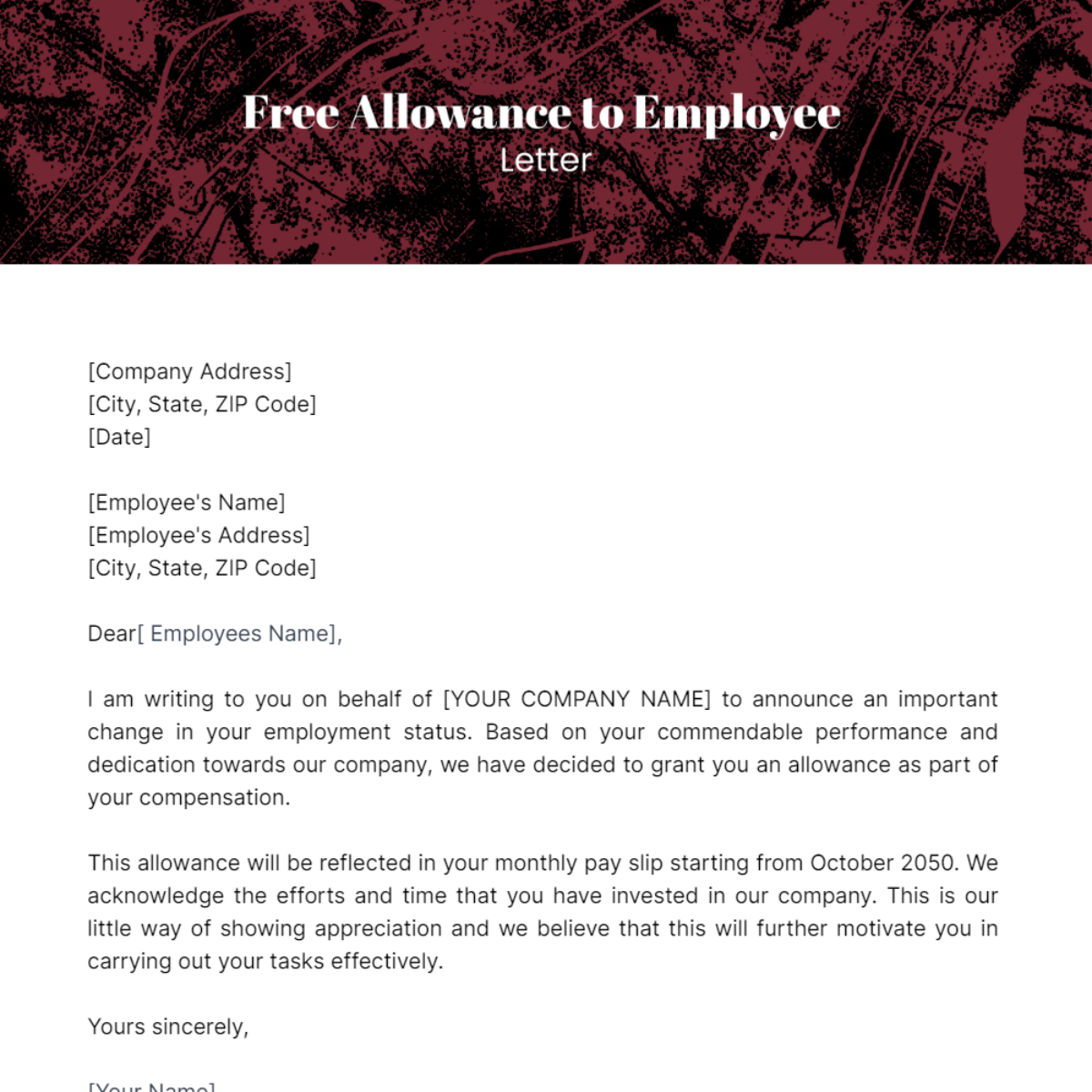 Allowance to Employee Letter Template