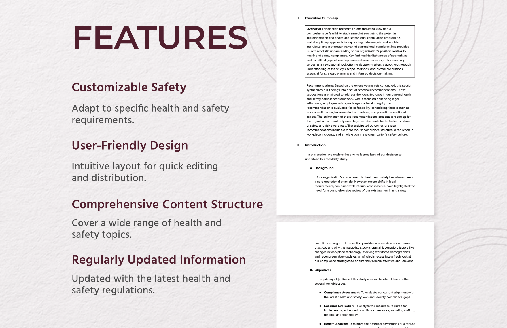 Health & Safety Legal Compliance Program Feasibility Study Template