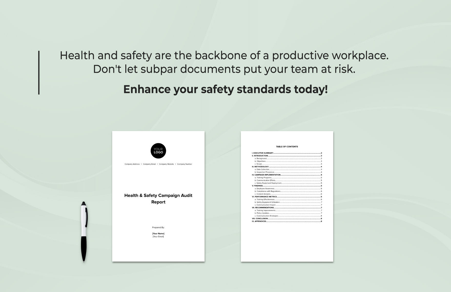 Health Safety Campaign Audit Report Template